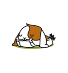 Boksil's Daily Life（個別スタンプ：23）