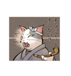 江戸弁猫（個別スタンプ：17）
