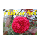 FEEL SO GOOD (HAPPY EVERYDAY)（個別スタンプ：8）