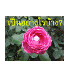 FEEL SO GOOD (HAPPY EVERYDAY)（個別スタンプ：9）