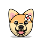 Puppy Love Stickers - Pom Emoji Meme（個別スタンプ：2）