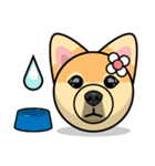 Puppy Love Stickers - Pom Emoji Meme（個別スタンプ：6）