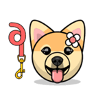 Puppy Love Stickers - Pom Emoji Meme（個別スタンプ：12）