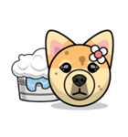 Puppy Love Stickers - Pom Emoji Meme（個別スタンプ：16）