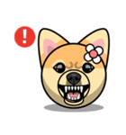 Puppy Love Stickers - Pom Emoji Meme（個別スタンプ：28）