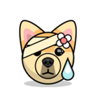 Puppy Love Stickers - Pom Emoji Meme（個別スタンプ：34）