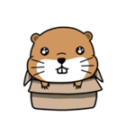 fat Groundhog ！（個別スタンプ：39）