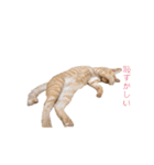 茶トラ猫 フェリックスの日常（個別スタンプ：27）
