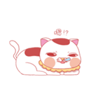 misty cat（個別スタンプ：6）
