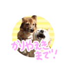 チロル＆モモ01（個別スタンプ：1）