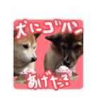 チロル＆モモ01（個別スタンプ：4）
