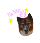 チロル＆モモ01（個別スタンプ：5）