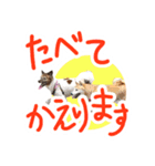 チロル＆モモ01（個別スタンプ：10）