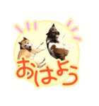 チロル＆モモ01（個別スタンプ：15）