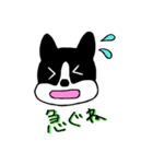 ゆるんわんこ（個別スタンプ：15）