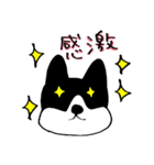 ゆるんわんこ（個別スタンプ：23）