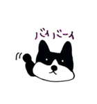 ゆるんわんこ（個別スタンプ：40）