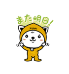 アビわん（個別スタンプ：4）