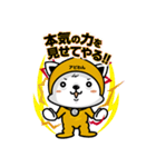 アビわん（個別スタンプ：6）