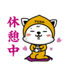 アビわん（個別スタンプ：13）