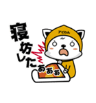 アビわん（個別スタンプ：22）