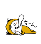 アビわん（個別スタンプ：23）