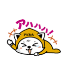 アビわん（個別スタンプ：28）