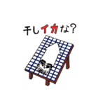 イカとカイ（個別スタンプ：27）