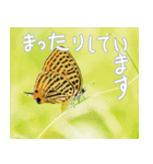 Pleasant creature Sticker（個別スタンプ：18）