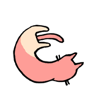 ピンクネコ -Prima edizione-（個別スタンプ：6）