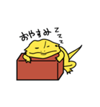 ゆるゆる フトアゴ（個別スタンプ：11）