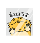 ゆるゆる フトアゴ（個別スタンプ：12）