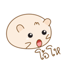 Mome The Cute Hamster（個別スタンプ：4）