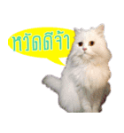 Tang＆Ty（個別スタンプ：1）