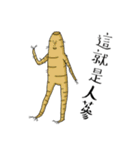 The life of Ginseng（個別スタンプ：2）