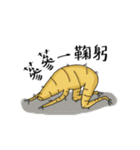 The life of Ginseng（個別スタンプ：15）