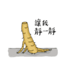 The life of Ginseng（個別スタンプ：18）