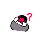 文鳥の暮らし（個別スタンプ：5）