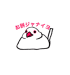 文鳥の暮らし（個別スタンプ：6）