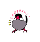 文鳥の暮らし（個別スタンプ：7）