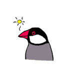 文鳥の暮らし（個別スタンプ：9）