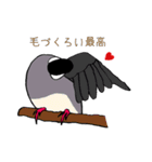 文鳥の暮らし（個別スタンプ：10）