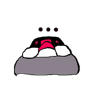 文鳥の暮らし（個別スタンプ：20）