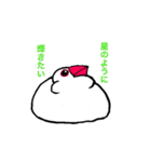 文鳥の暮らし（個別スタンプ：22）