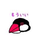 文鳥の暮らし（個別スタンプ：24）