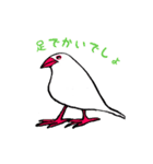 文鳥の暮らし（個別スタンプ：26）