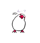 文鳥の暮らし（個別スタンプ：31）