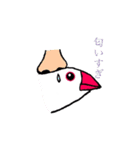 文鳥の暮らし（個別スタンプ：32）