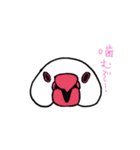 文鳥の暮らし（個別スタンプ：39）