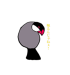 文鳥の暮らし（個別スタンプ：40）